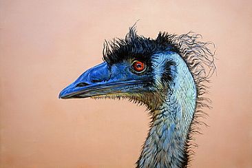Emu - Dromaius novaehollandiae by Ji Qiu