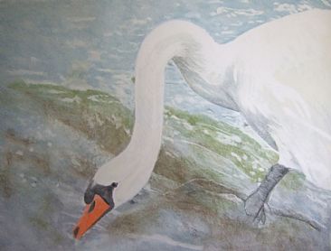 from the source. ( the swan) -  by Hilde_Aga Brun