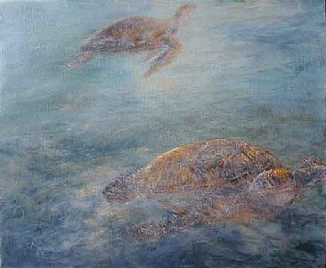 Drifting - sea turtles  by Sunny Franson