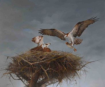 Imminent Departure - Ospreys by Lorna Hamilton