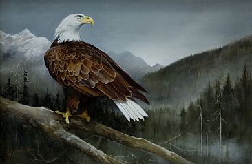 Kingdom Glory - Bald Eagle by Lorna Hamilton