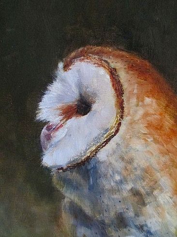 Night Patrol - Barn owl by Gloria Chadwick