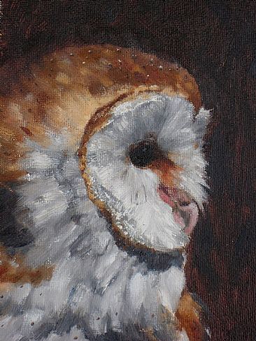 Movement - Barn owl by Gloria Chadwick