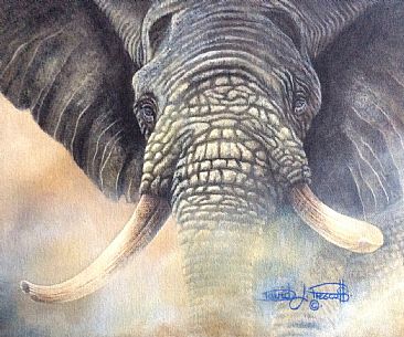 Old Broken Tusk. (Sold) - African Elephant. by David Prescott