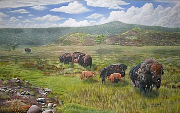 Living Legends ( Sold ). - North American Bison Heard. by David Prescott