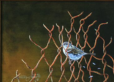 Through The Wire. - Sparrow. by David Prescott