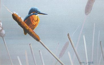 Morning Mist. (Sold) - Kingfisher. by David Prescott