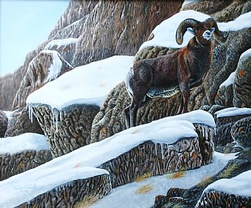 Going For The Trophy. - Bighorn Sheep. by David Prescott