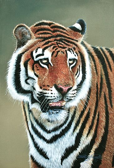 Intensity (Sold) - Bengal Tiger. by David Prescott