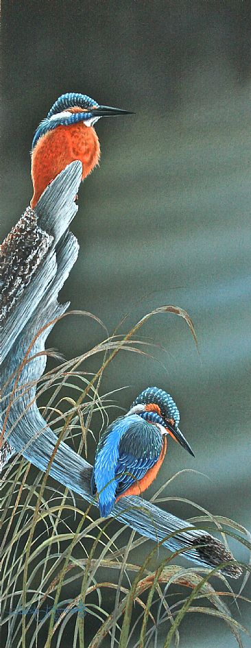 The Courtship, Kingfishers. -  by David Prescott