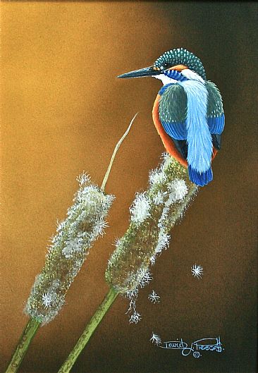 Vantage Point, Kingfisher. (Sold) -  by David Prescott