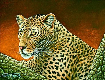 Be Aware, Leopard. - African Leopard. by David Prescott