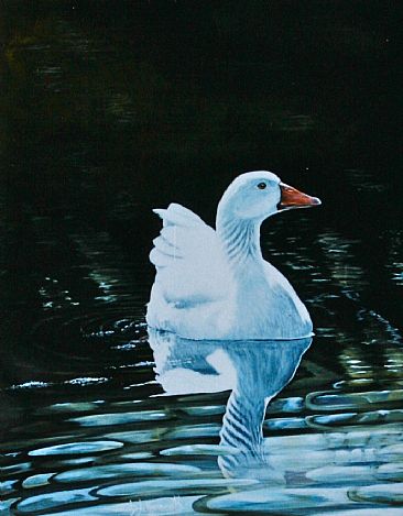 Back Water Goose. (Sold). - White Goose. by David Prescott