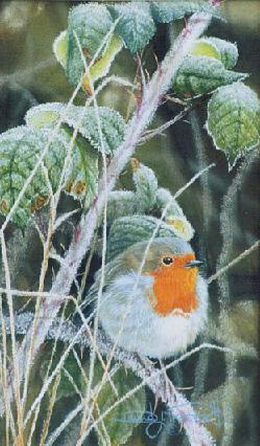 Robin in Brambles. (Sold) - Robin by David Prescott