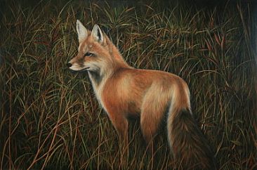 Red Fox - Fox - Red Fox by Wendy Palmer