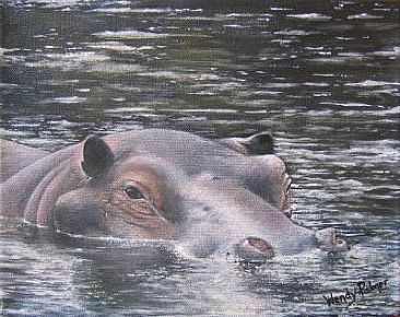 Wading Hippo - Hippopotamus by Wendy Palmer