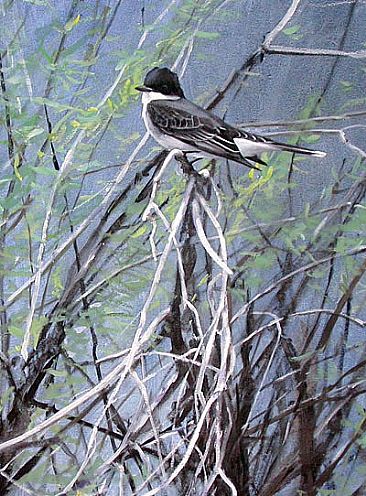 Eastern Kingbird in Willow - sold by Larry McQueen