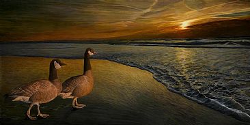 The Day's Surrender - Canada Goose and Gander by Roy Carretta