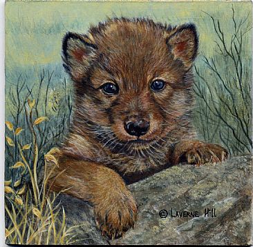 Baby  - wolf by LaVerne Hill