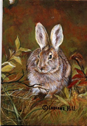 Rabbit  (sold) -  by LaVerne Hill