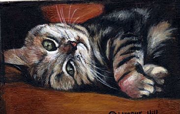 TOM KITTY (sold) - Domestic cat by LaVerne Hill