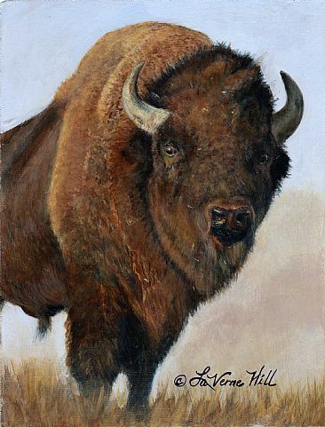 AMERICAN bISON - large mammal by LaVerne Hill