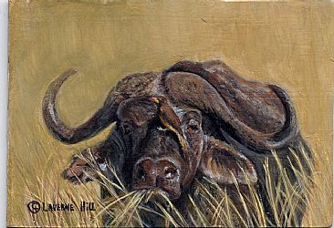 Water buffalo (sold) -  by LaVerne Hill