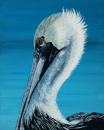  - Brown Pelican by Eva Stanley