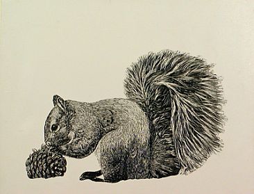  - Squirrel - Gray Squirrel by Eva Stanley