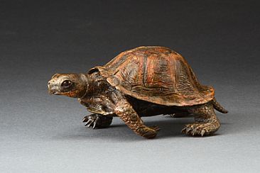 On My Way - Young Eastern Box Turtle by Eva Stanley