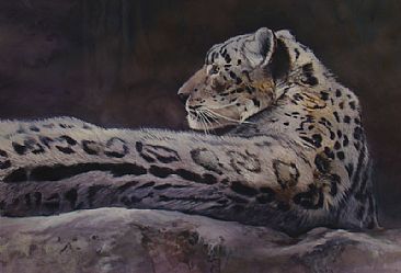 Snow Leopard - Snow Leopard by Anni Crouter