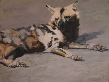 Wild Dog - Wild Dog by Anni Crouter