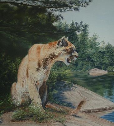Northern Lookout - Cougar by Cheryl Battistelli