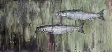 Sockeye Study 2 - Wild sockeye salmon by Mary Jane Jessen