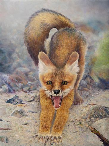 Fox - Fox by Jerry Venditti