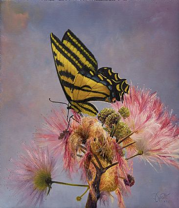 Papilio (Swallowtail) - Butterflies by Jerry Venditti