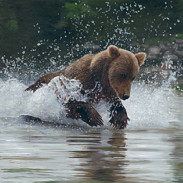 Making a Splash - Grizzly Bear by Terry Isaac