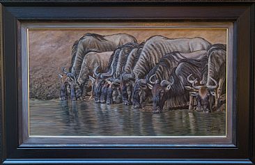 On the banks of the Mara river2016 - White bearded wildebeest by Ilse de Villiers