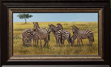 Stripes on the Maasai Mara plains - Zebras by Ilse de Villiers