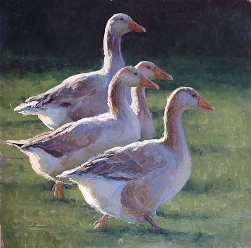 Out for a Gander - domestic geese by Kathleen Dunphy