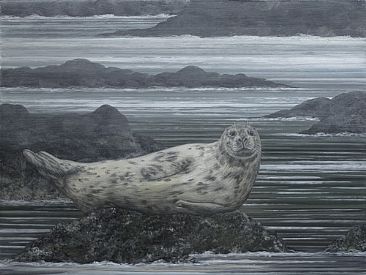 A Seal of Approval - harbor seal by Del-Bourree Bach