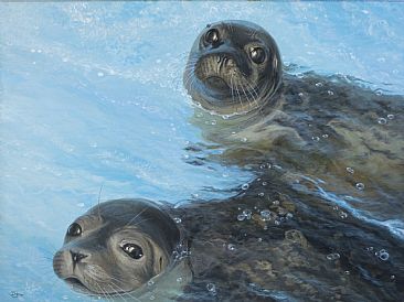 Rescue Girls - Harbor seal pups by Del-Bourree Bach