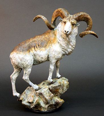 Prince Of The Pamirs - marco polo sheep by Cynthie Fisher