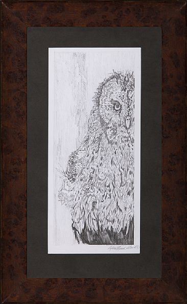 Great Gray Owl - Great Gray Owl by Kathleen Sheard