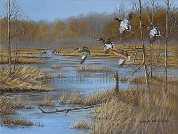 Backwater Mallards - Canvas Print - SOLD - Mallards - Backwater Pond by Marti Millington