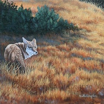 Last Look Back (SOLD) - Coyote (canus latrans)  by Marti Millington