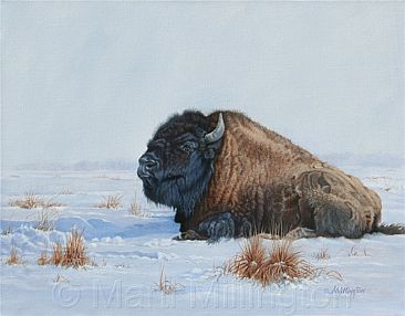 Monarch of the Plains - American Bison by Marti Millington