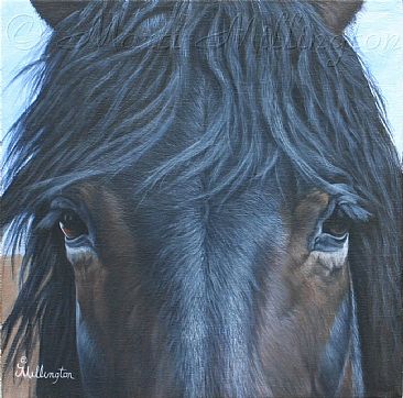 Outlaw's Rolling Thunder - Equine by Marti Millington