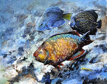 Color in the Keys - Marine life by Wayne Chunat