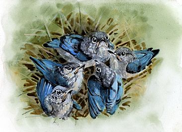 Clutch - Eastern Bluebird by Wayne Chunat